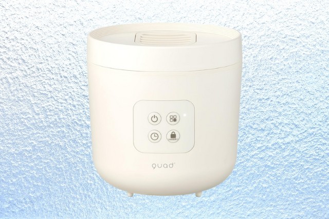 STEAMS（スチームス）